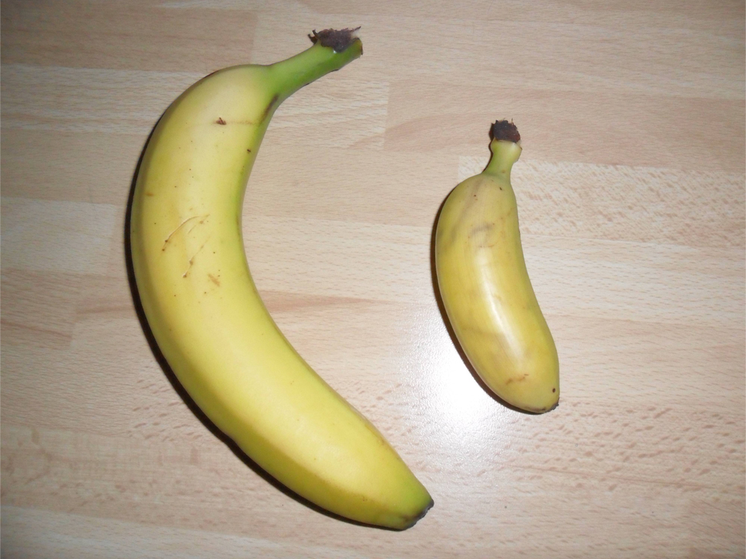 Your banana in the dick Consider, banana in the dick pity, that